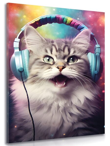 Stampa su tela – Gatto con cuffie