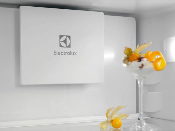 Electrolux Frigorifero da Incasso Combinato Capacit 269 Litri Classe energetica D Raffreddamento No Frost - ENT6MD19S3