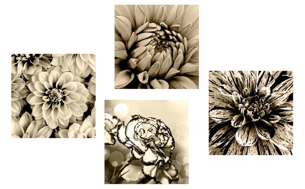 Set di quadri – Fiori in seppia