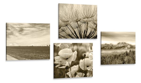 Set di quadri – Paesaggio seppia con fiori