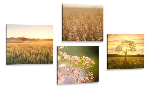 Set di quadri – Campo al tramonto