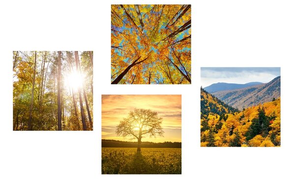 Set di quadri – Incanto del paesaggio autunnale