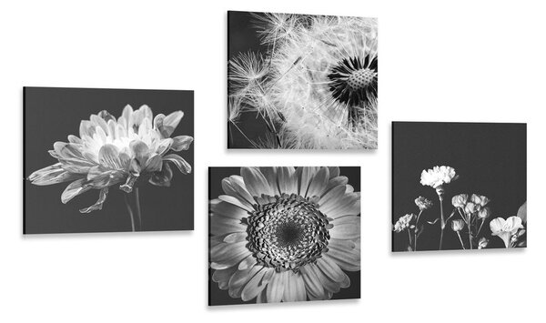Set di quadri – Fiori delicati in bianco e nero