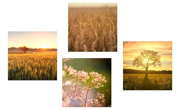 Set di quadri – Campo al tramonto