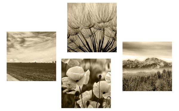 Set di quadri – Paesaggio seppia con fiori