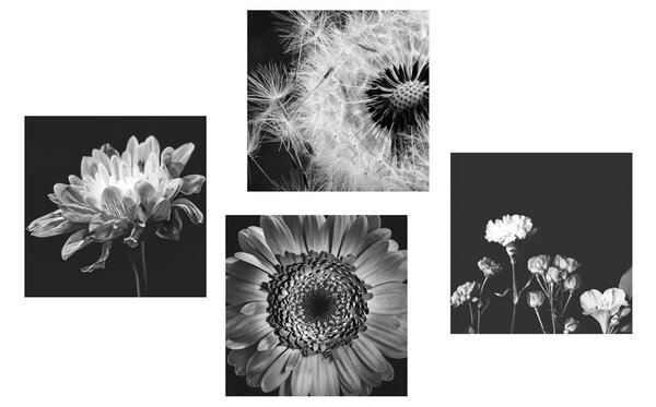 Set di quadri – Fiori delicati in bianco e nero