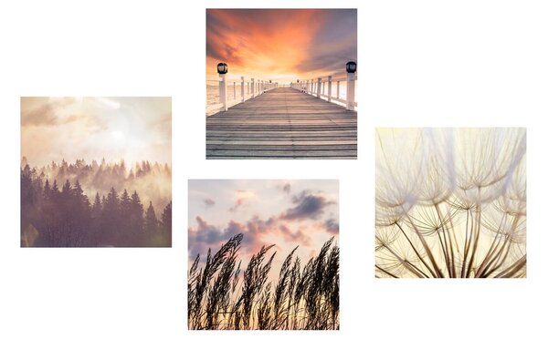 Set di quadri – Natura tra le braccia del sole