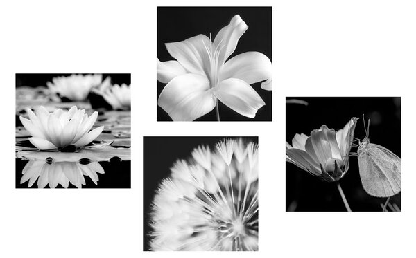 Set di quadri – Fiori con farfalla in bianco e nero