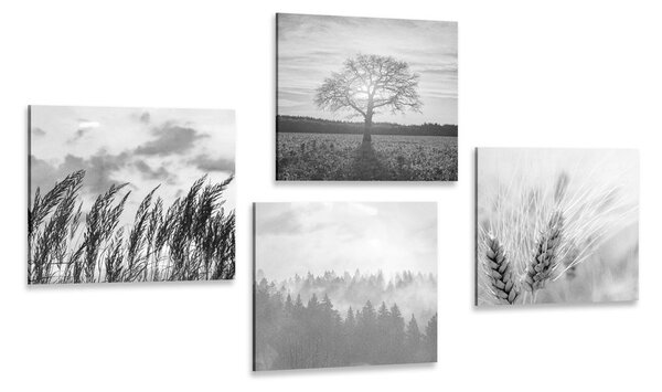 Set di quadri – Incanto del paesaggio in bianco e nero