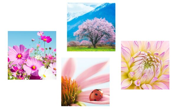 Set di quadri – Tra le braccia della natura