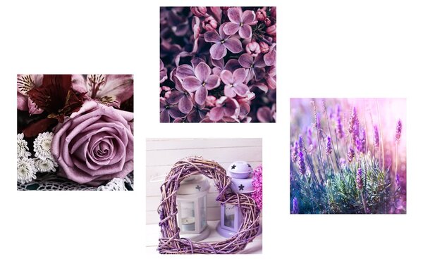 Set di quadri – Splendidi fiori viola con cuoricino