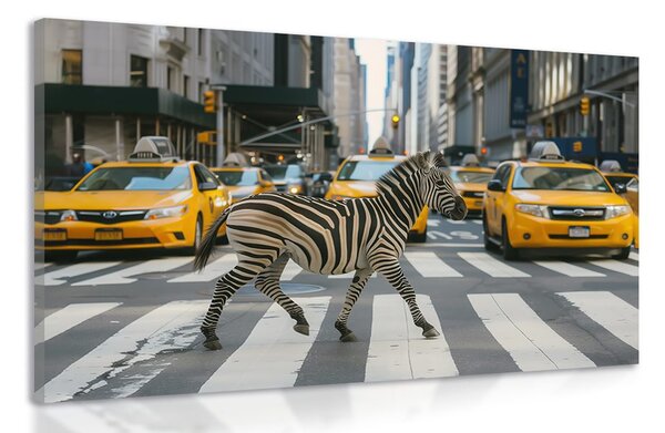 Quadro su tela – Zebra a New York
