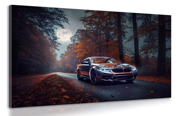 Stampa su tela – BMW al chiaro di luna