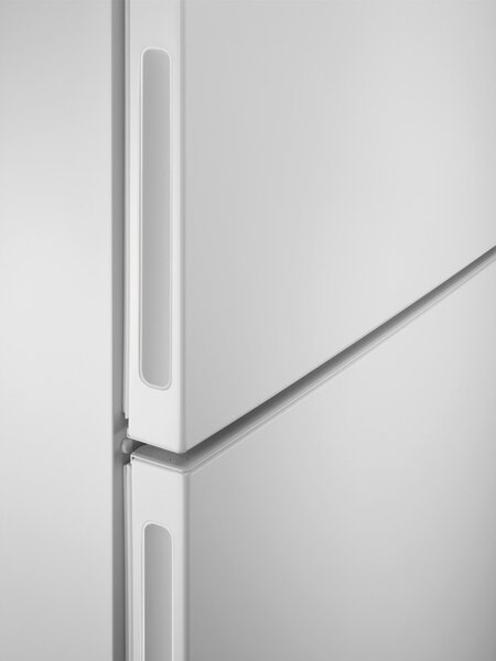 Electrolux Frigorifero Doppia Porta Capacit 207 Litri Classe energetica E Raffreddamento Statico Low Frost colore Bianco - LTB1AE24W0