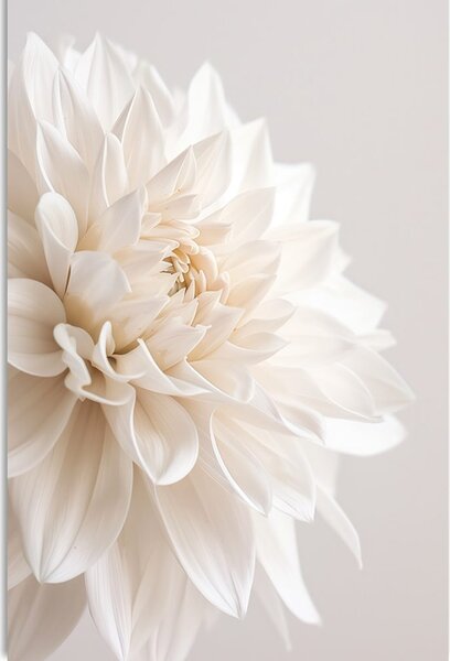 Stampa su tela – Petali bianchi