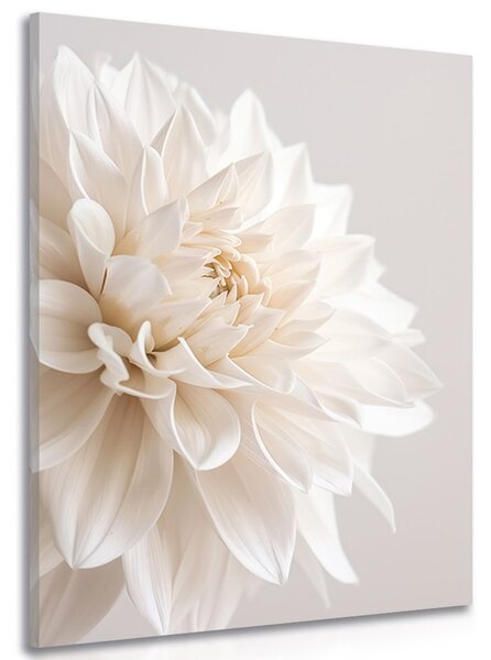 Stampa su tela – Petali bianchi