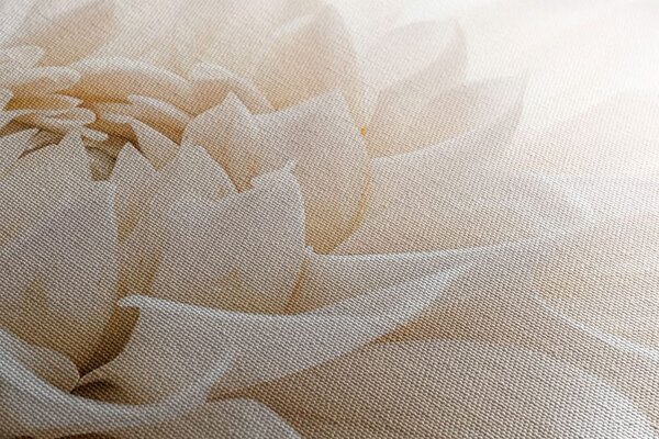 Stampa su tela – Petali bianchi