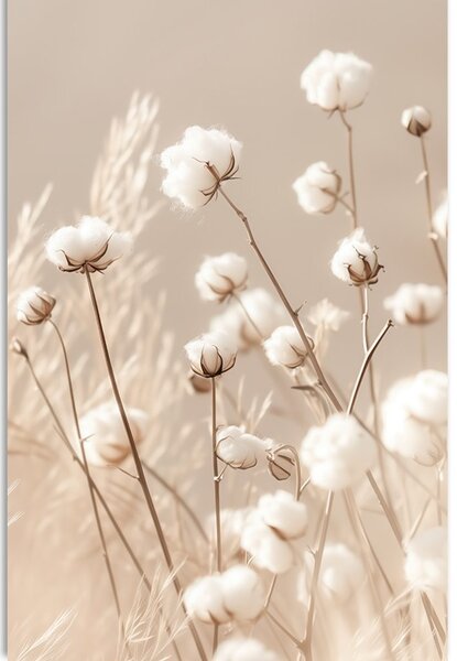 Quadro su tela – Cotone secco