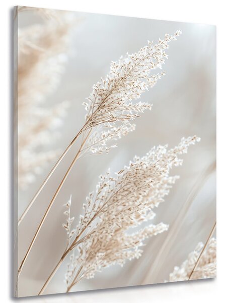 Quadro su tela – Canna beige