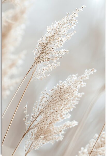 Quadro su tela – Canna beige