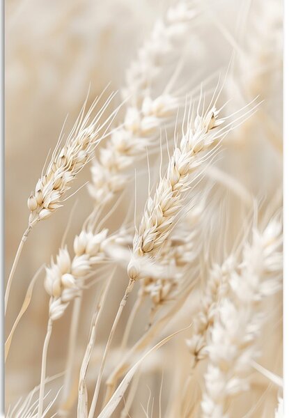 Quadro su tela – Steli di grano