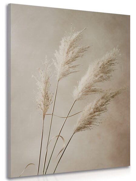 Stampa su tela – Erba pampas secca