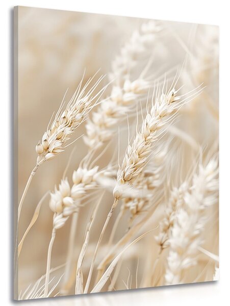 Quadro su tela – Steli di grano
