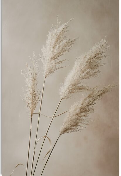 Stampa su tela – Erba pampas secca