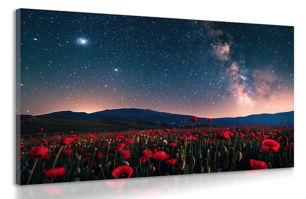 Quadro su tela – Prato di papaveri selvatici sotto le stelle