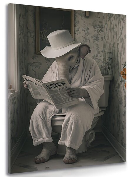 Stampa su tela – Elefante con giornale in bagno