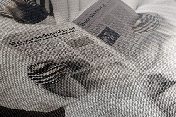 Stampa su tela – Zebra con giornale in bagno
