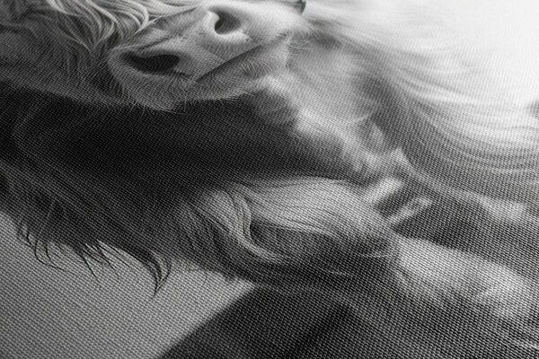 Stampa su tela – Mucca con cuffie sul tapis roulant