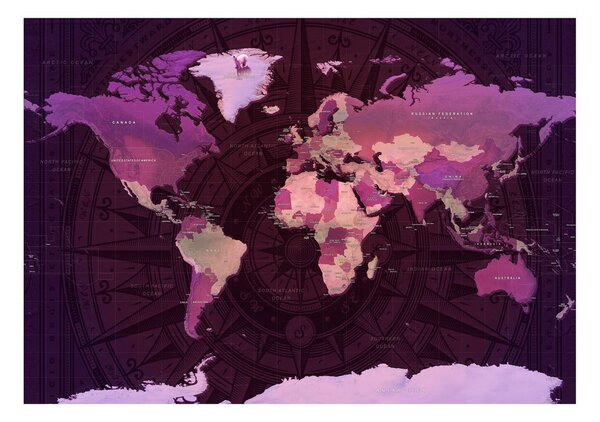 Carta da parati autoadesiva – Purple World Map
