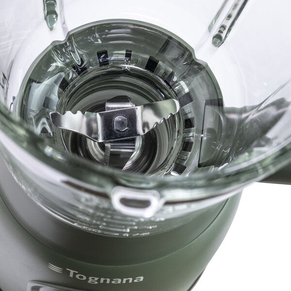 Tognana Frullatore con Bicchiere Tritaghiaccio Capacit 0.8 Litri Potenza 300 Watt 2 Velocit + Pulse colore Verde - D2DFU01IRVE