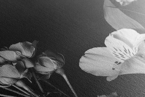 Stampa su tela – Fiori eleganti in bianco e nero