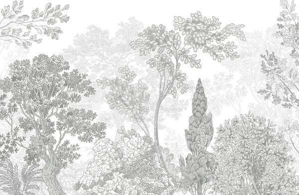 Carta da parati Gruppo di alberi con foglie, Carta da parati Natura, Carta da parati popolare, w04851v3 - Tapeko.it