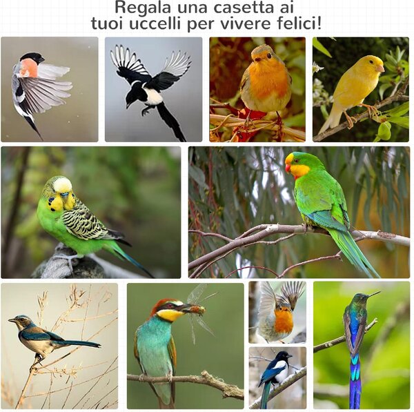 AllMyPets Gabbia per Uccelli in Legno e Metallo a 3 Aperture con 4 Posatoi e Vassoio Rimovibile 80.5x57x153 cm colore Arancione - U5121YL