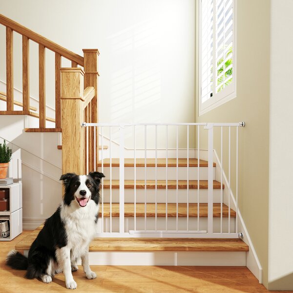 PawHut Cancellino per Cani di Sicurezza Estensibile da 76-107cm Montaggio a Pressione, Metallo e Plastica|Aosom
