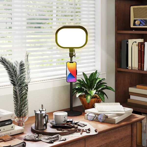 DecHome Lampada da Scrivania LED con Supporto per Telefono, 5 colori di Luce e 10 Luminosit colore Nero