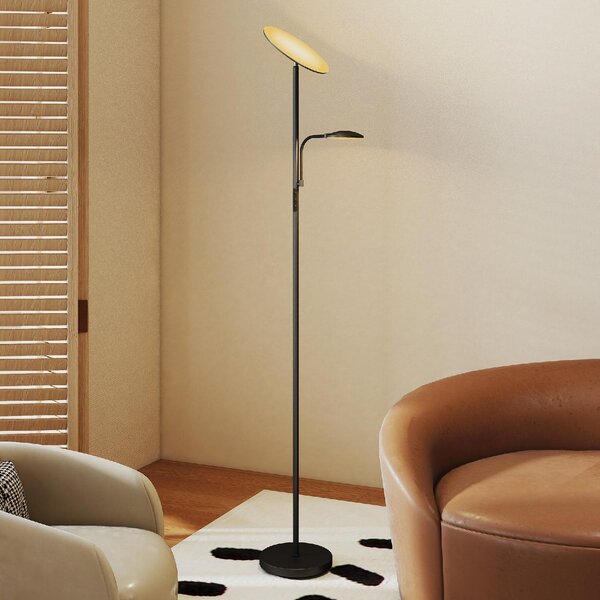 DecHome Lampada da Terra con 2 Punti Luce Regolabile a 4 Livelli Temperatura 2700K-6500K e Telecomando colore Nero