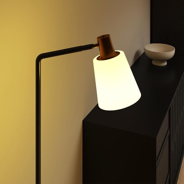 DecHome Lampada da Terra LED con Testa Girevole a 350, Regolazione Temperatura del colore 3000K/4000K/6500K colore Nero