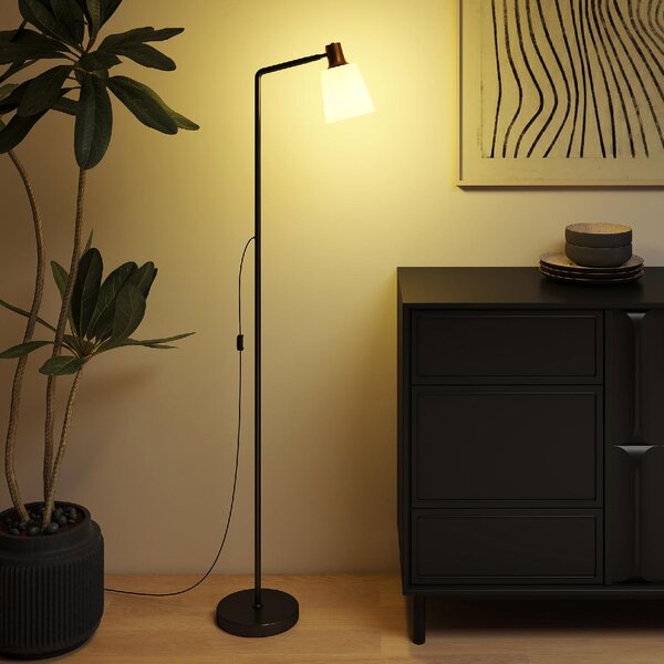 DecHome Lampada da Terra LED con Testa Girevole a 350, Regolazione Temperatura del colore 3000K/4000K/6500K colore Nero