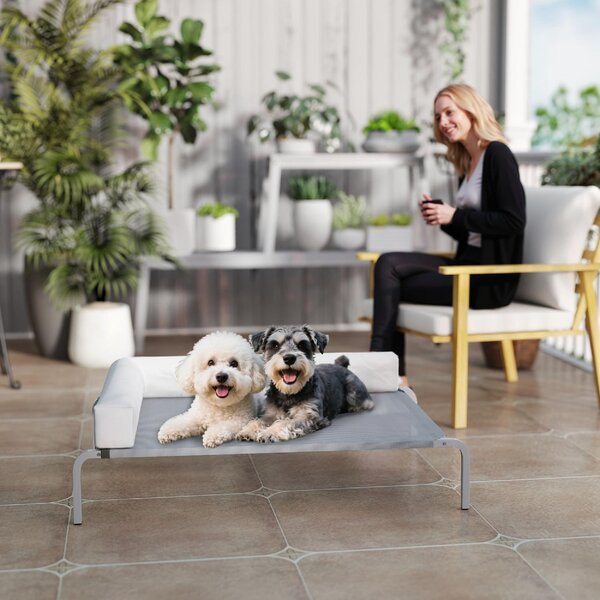 AllMyPets Lettino per Cani Rialzato di 20 cm con Cuscino a L in Poliestere e Acciaio 110x75x30 cm colore Grigio/Argento - R439LG
