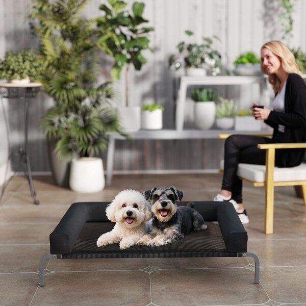 AllMyPets Lettino per Cani Rialzato di 19.5 cm con Cuscino a U in Poliestere e Acciaio 110x75x30 cm colore Nero/Argento - R438BK