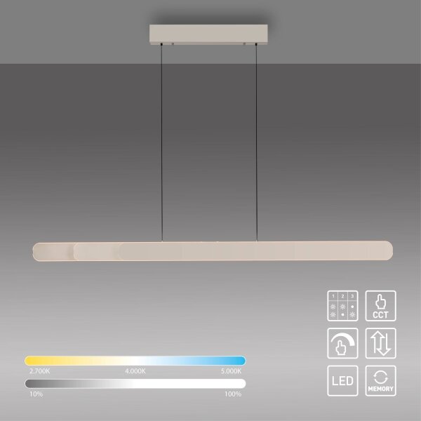 Schöner Wohnen 12577-39 - Lampada a sospensione dimmerabile su cavo ADRIANA 2xLED/24W/230V grigia