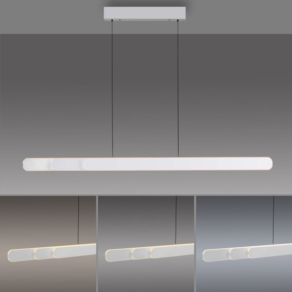 Schöner Wohnen 12577-16 - Sospensione LED dimmerabile su cavo ADRIANA 2xLED/24W/230V bianco