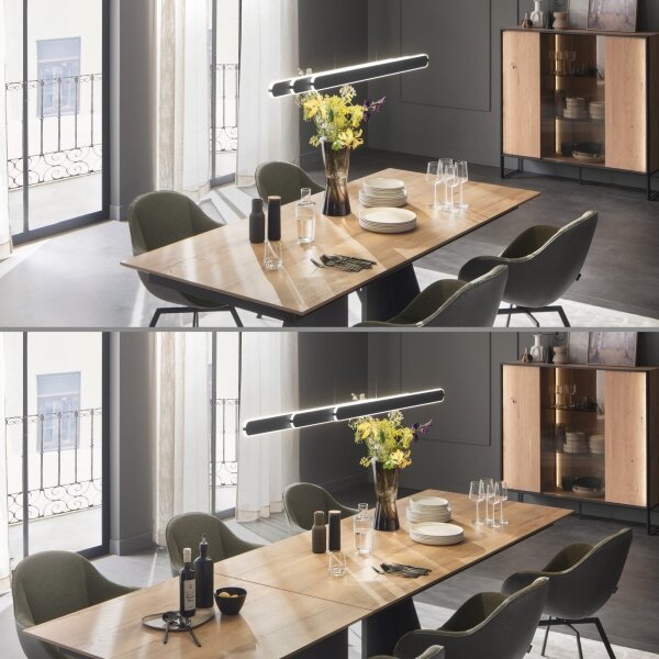 Schöner Wohnen 12577-18 - Lampadario LED dimmerabile su cavo ADRIANA 2xLED/24W/230V nero