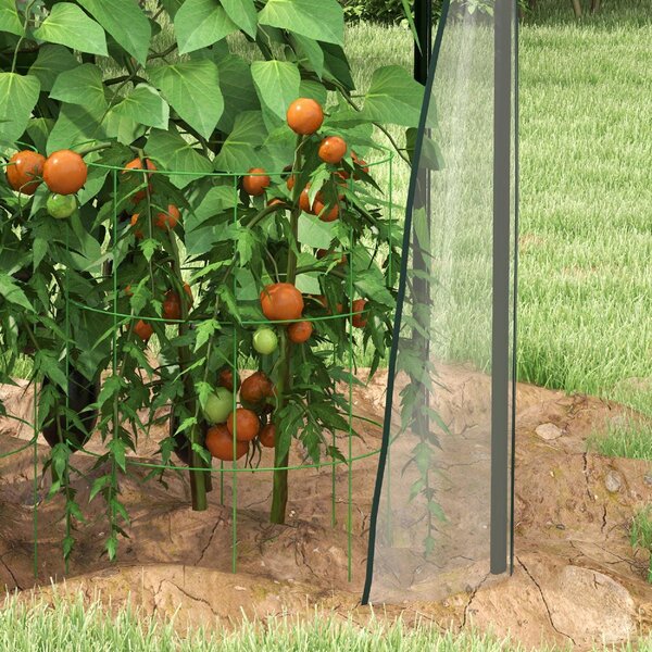 VivaGarden Mini Serra da Giardino con 2 Porte Avvolgibili e Copertura in PE 90x90x145 cm colore Trasparente - A1320CRAO82