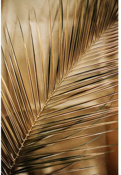 Dipinto stampato dipinto su vetro 80x120 cm Gold Palm – Styler
