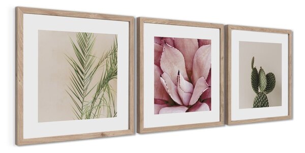 Set di dipinti stampati con cornice inclusa 3 pz 30x30 cm Fresh – Styler